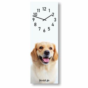 Zegar ścienny szkło akrylowe duży do salonu do kuchni Zwierzaki Golden Retriever