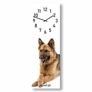 Zegar ścienny szkło akrylowe duży do salonu do kuchni Zwierzaki Owczarek