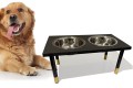 dog2-1-0a-XXL-dog.jpg
