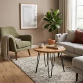 oval-50cm-wiz1.jpg