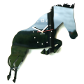 Zegar ścienny duży Horse Koń