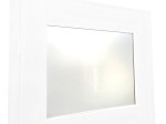 Plexi Pleksi Plexa Pleksa mrożona 3mm